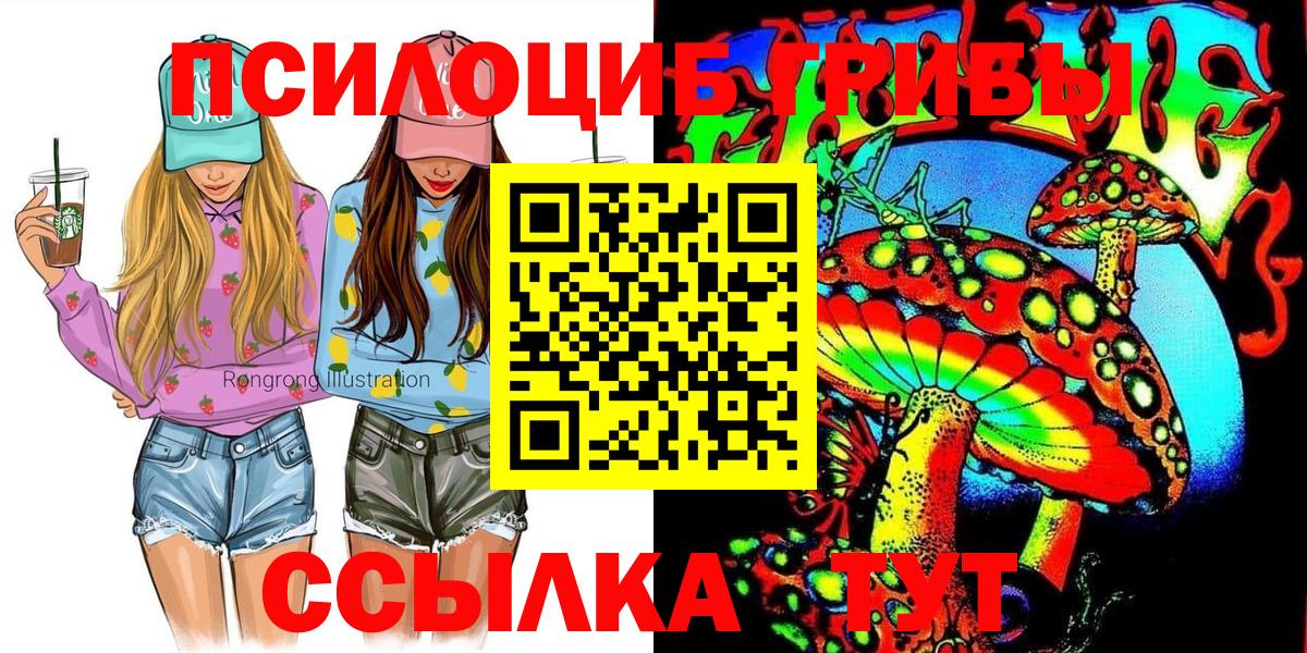 магазин продажи   Вход с VPN  Шебекино  Галлюциногенные грибы Psilocybine cubensis 