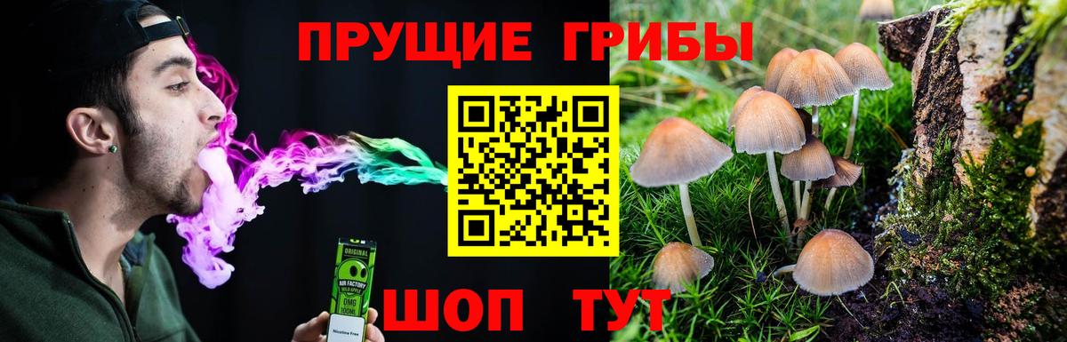 Псилоцибиновые грибы Magic Shrooms Шебекино